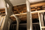 IMG_8737.JPG